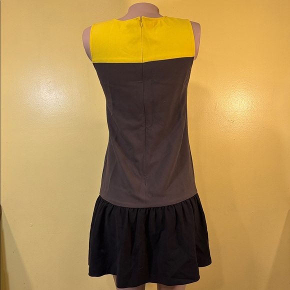 LOFT Yellow and Brown Pleated A-Line Mini Dress - Picture 3 of 7